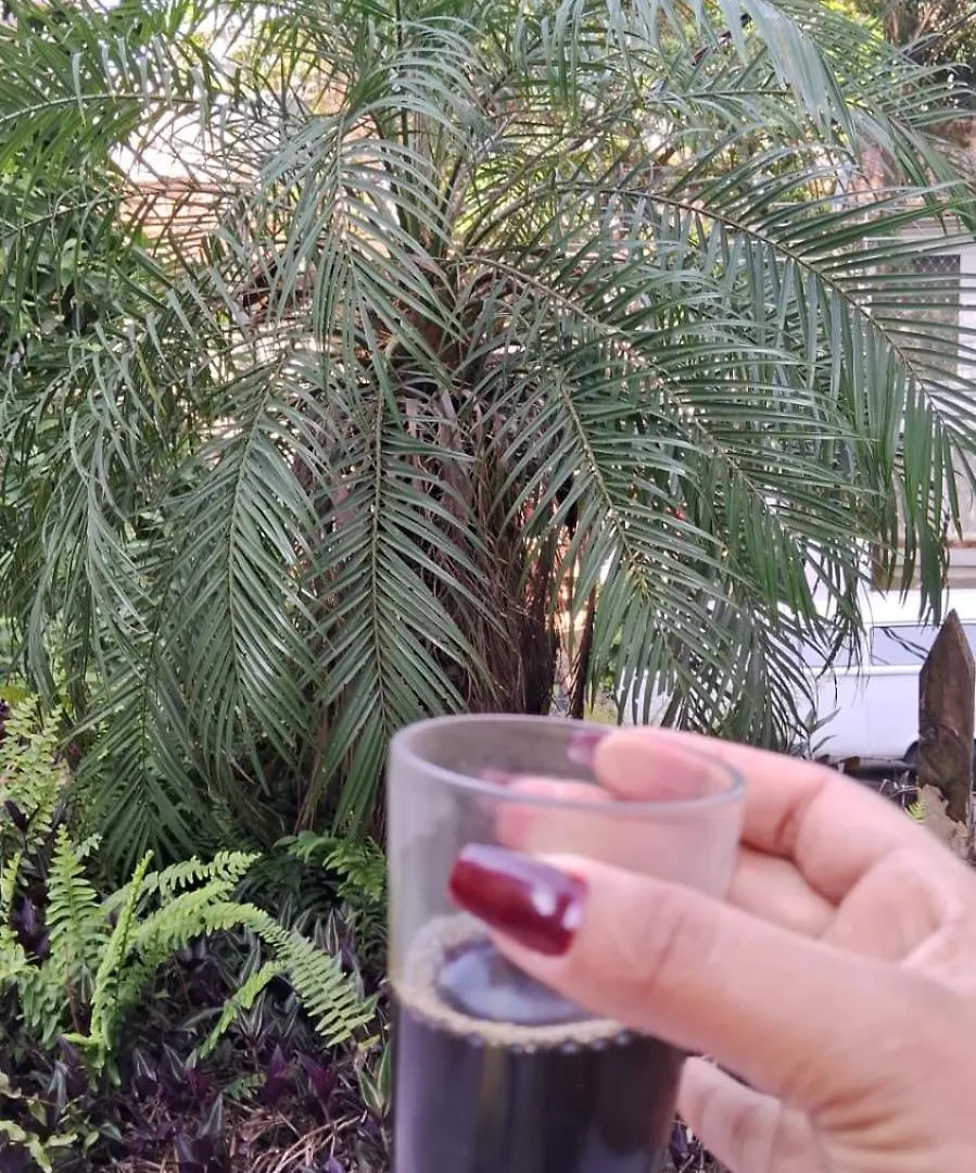 Pousada Oscar Freire Paulista Jardins Incor Hc Ate 8 Hospedes Σάο Πάολο 0*,